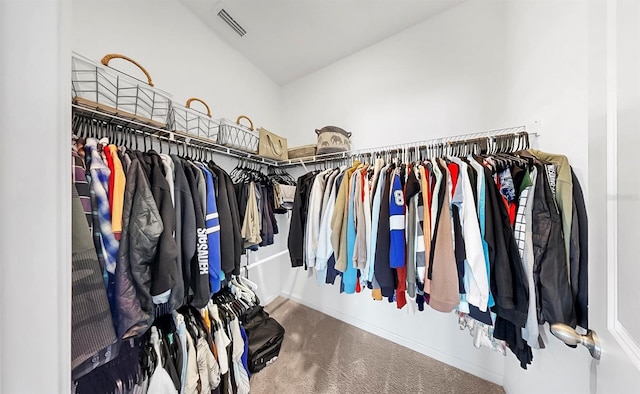 35552 Shade Fern Ln, Zephyrhills, FL 33541 - spacious closet featuring carpet