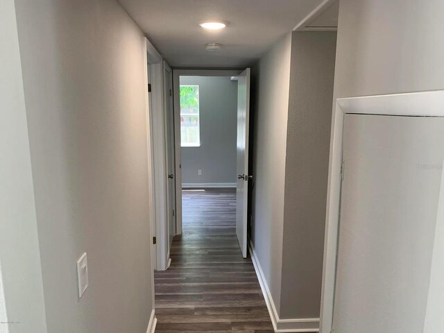 808 Hillsdale Dr, Cocoa, FL 32922 - hallway with dark wood finished floors and baseboards