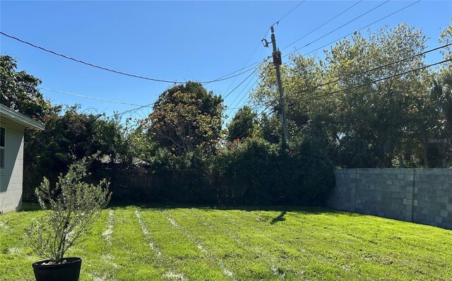 808 Hillsdale Dr, Cocoa, FL 32922 - view of yard