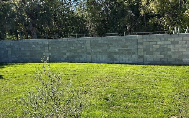 808 Hillsdale Dr, Cocoa, FL 32922 - view of yard