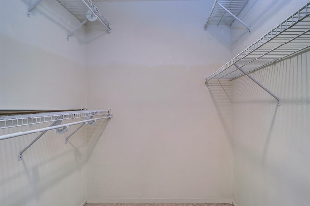 3053 Gregor Ct, Palm Harbor, FL 34684 - view of spacious closet