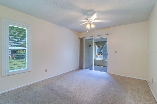 3053 Gregor Ct, Palm Harbor, FL 34684 - empty room with carpet, ceiling fan, baseboards, and a textured ceiling