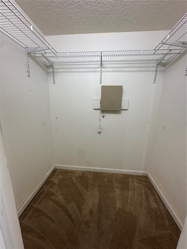 13632 Deventer Ct, Hudson, FL 34667 - spacious closet with carpet floors