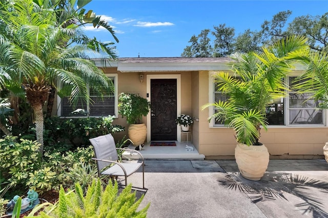 3626 S Hesperides St, Tampa, FL 33629 - view of doorway to property