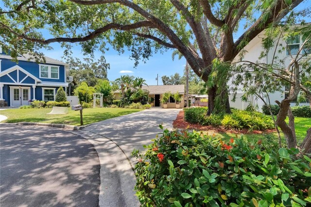 3626 S Hesperides St, Tampa, FL 33629 - view of front of house with french doors, driveway, and a front lawn