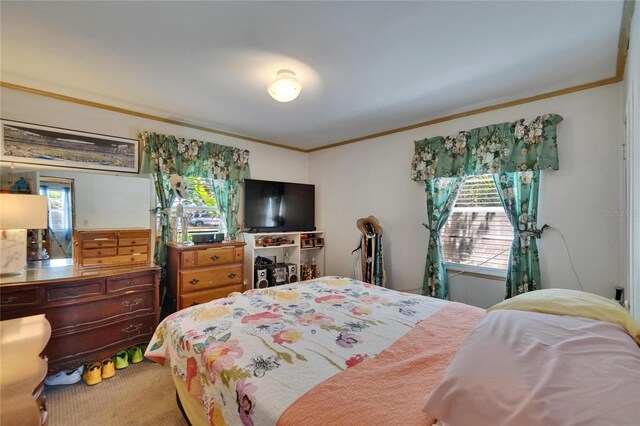3626 S Hesperides St, Tampa, FL 33629 - carpeted bedroom with ornamental molding