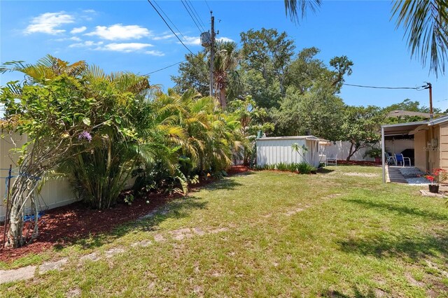 3626 S Hesperides St, Tampa, FL 33629 - view of yard
