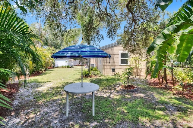 3626 S Hesperides St, Tampa, FL 33629 - view of yard