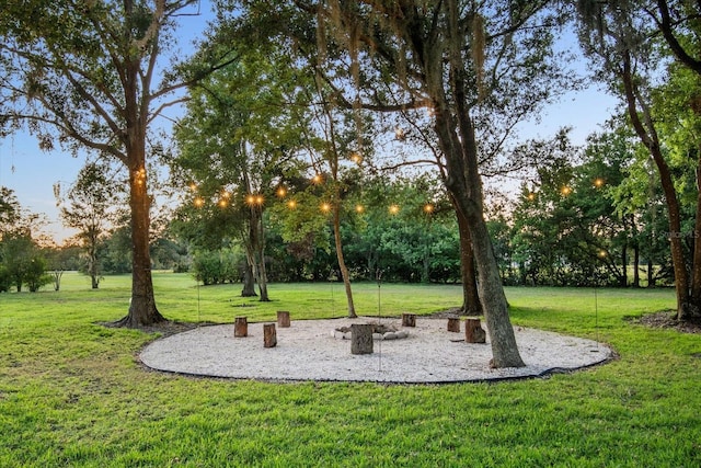 11441 Hammock Oaks Ct, Lithia, FL 33547 - photo 10
