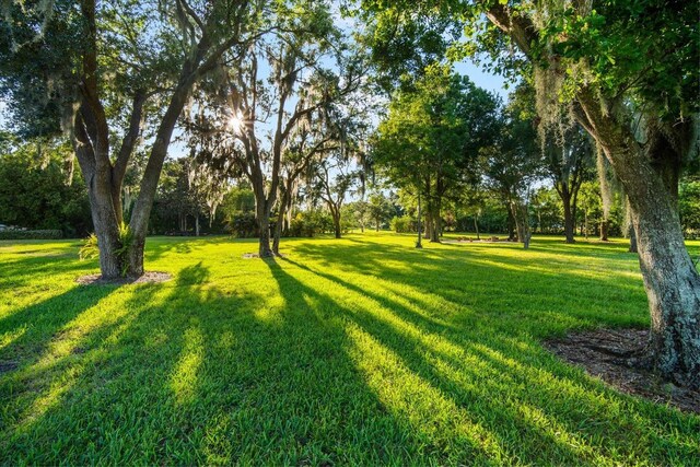 11441 Hammock Oaks Ct, Lithia, FL 33547 - photo 11