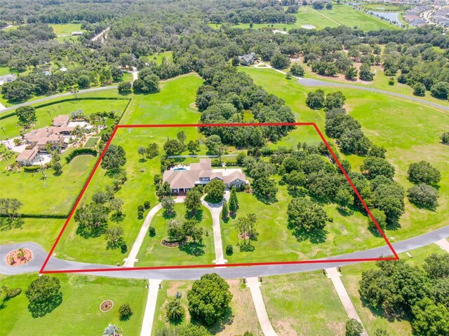 11441 Hammock Oaks Ct, Lithia, FL 33547 - photo 14