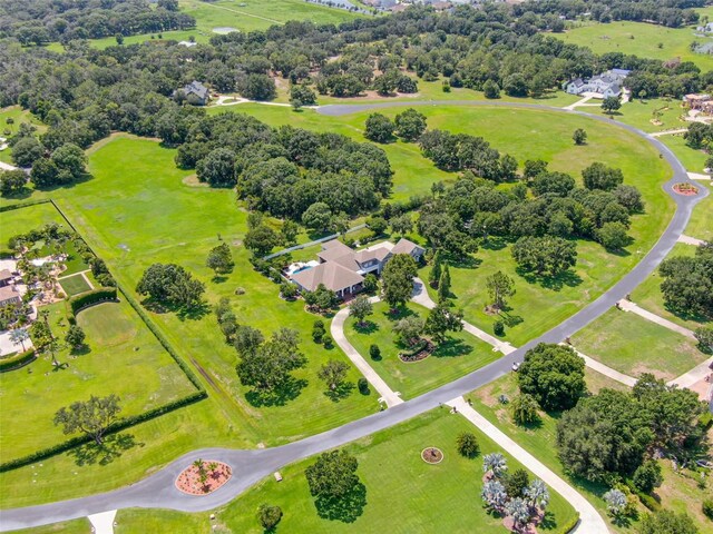 11441 Hammock Oaks Ct, Lithia, FL 33547 - photo 62