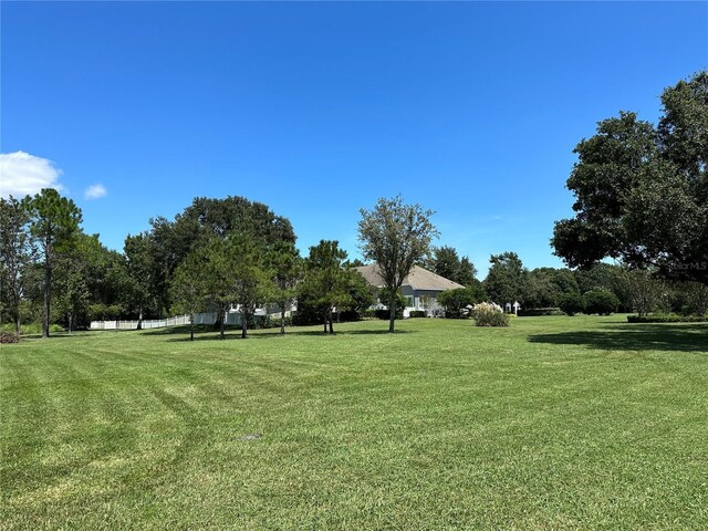 11441 Hammock Oaks Ct, Lithia, FL 33547 - photo 63