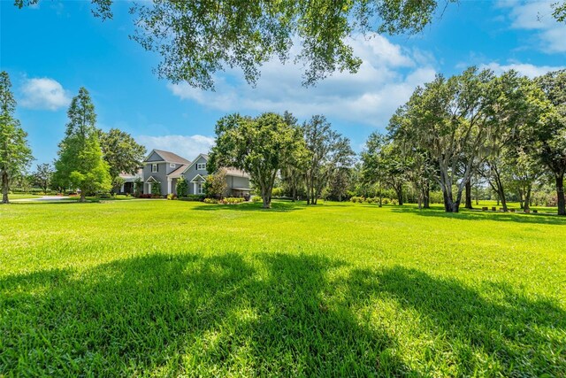 11441 Hammock Oaks Ct, Lithia, FL 33547 - photo 64