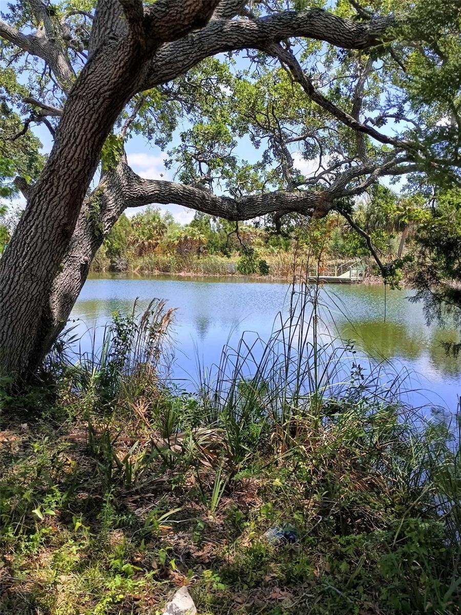0 Sea Grape Dr Lot 10, Hernando Beach, FL 34607