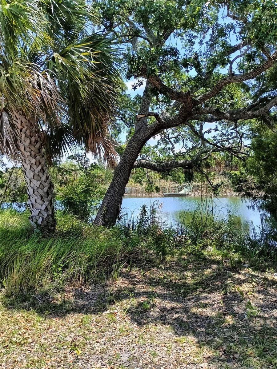 0 Sea Grape Dr Lot 10, Hernando Beach, FL 34607