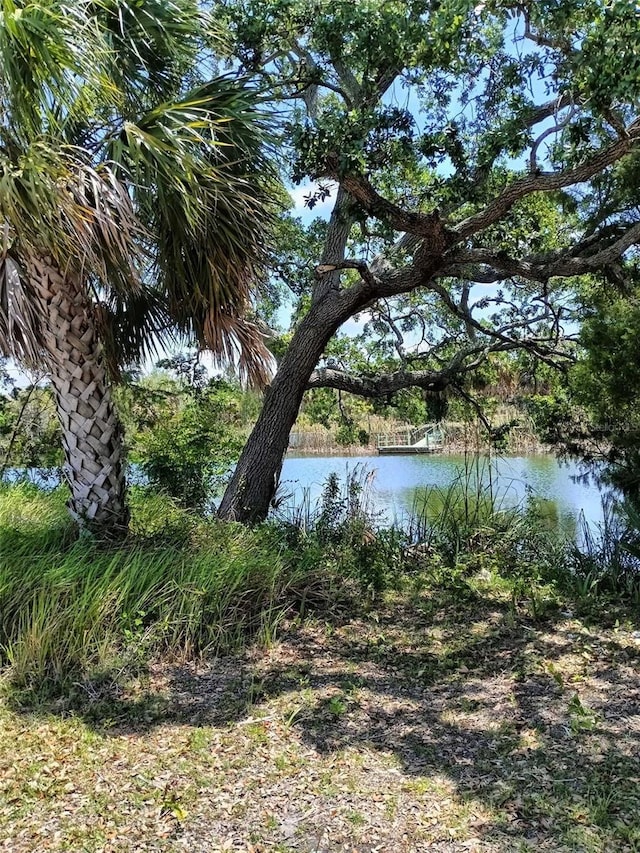 0 Sea Grape Dr Lot 10, Hernando Beach, FL 34607