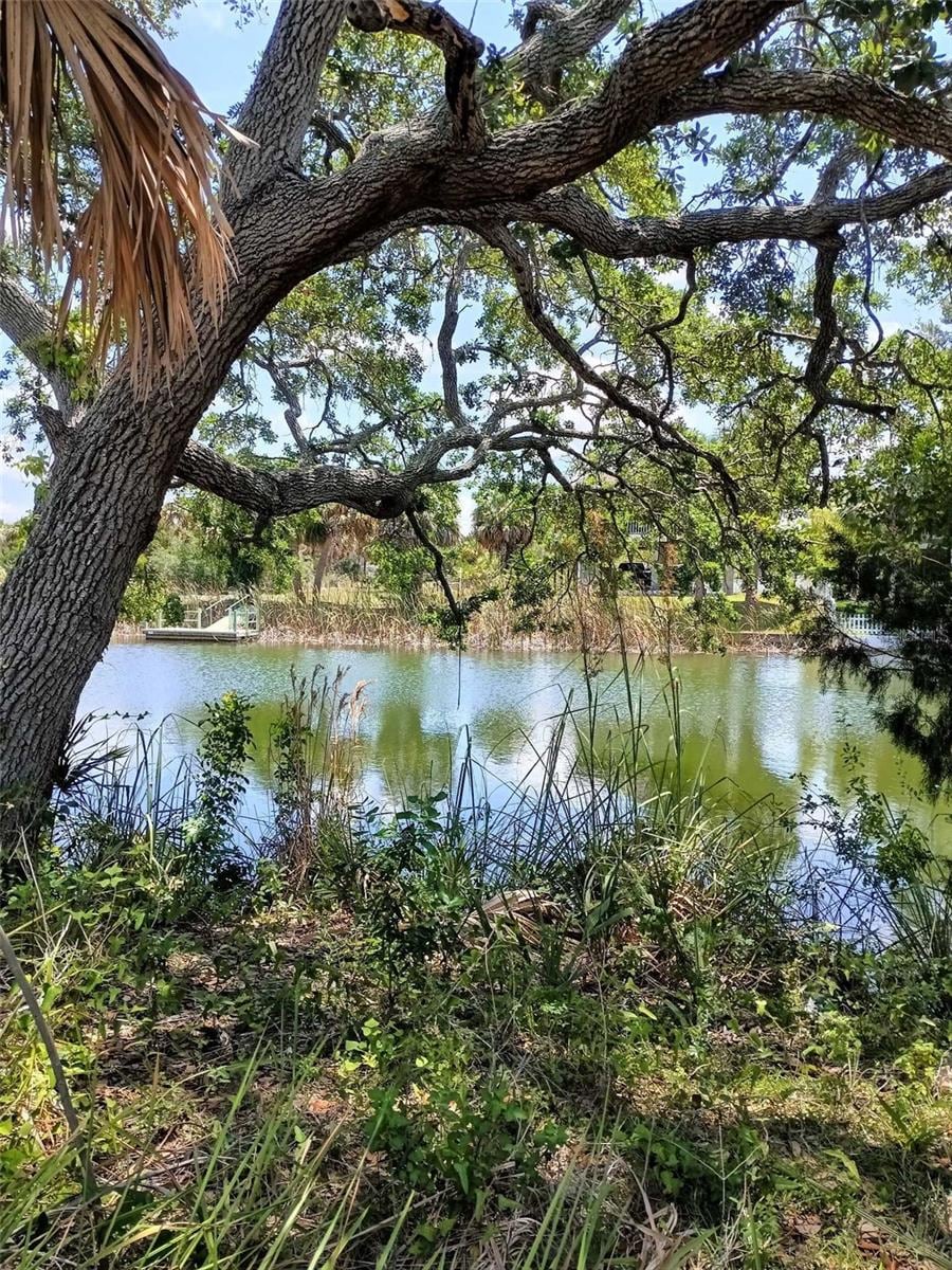 0 Sea Grape Dr Lot 10, Hernando Beach, FL 34607