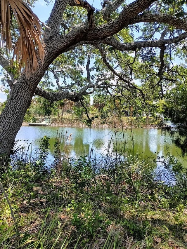 0 Sea Grape Dr Lot 10, Hernando Beach, FL 34607
