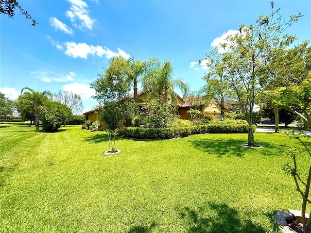 9313 Lisbon St, Seffner, FL 33584 - photo 46