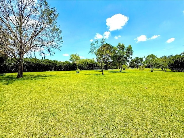9313 Lisbon St, Seffner, FL 33584 - photo 41
