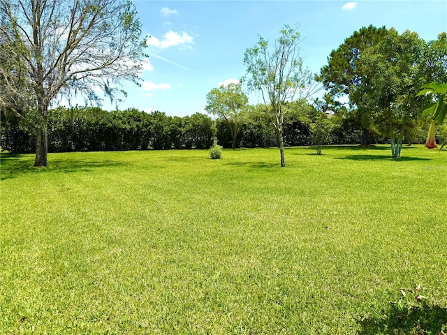 9313 Lisbon St, Seffner, FL 33584 - photo 2