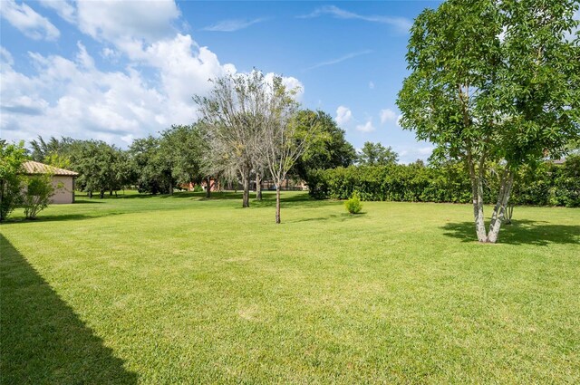 9313 Lisbon St, Seffner, FL 33584 - photo 40