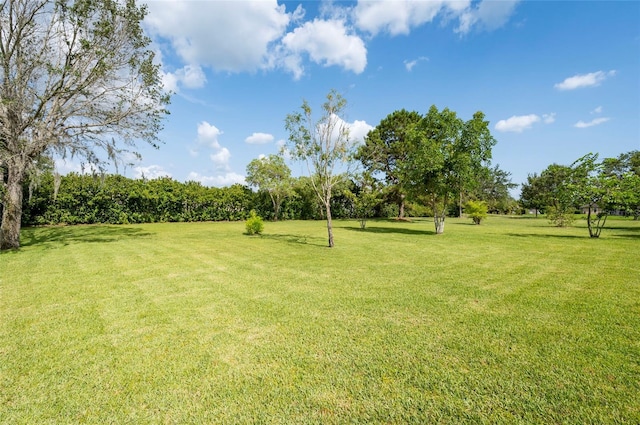 9313 Lisbon St, Seffner, FL 33584 - photo 42