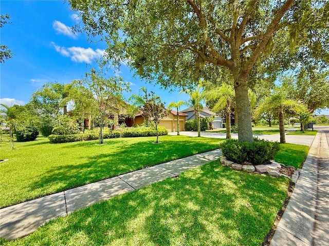 9313 Lisbon St, Seffner, FL 33584 - photo 49