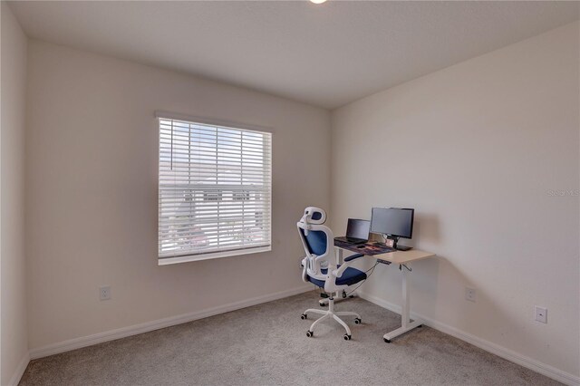 33062 Frosted Clover Way, Wesley Chapel, FL 33545 - office area with carpet and baseboards