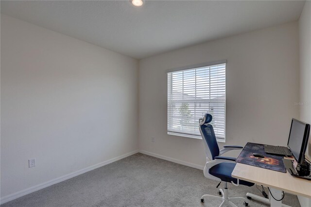 33062 Frosted Clover Way, Wesley Chapel, FL 33545 - home office with carpet and baseboards