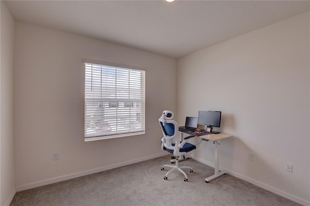 33062 Frosted Clover Way, Wesley Chapel, FL 33545 - photo 26
