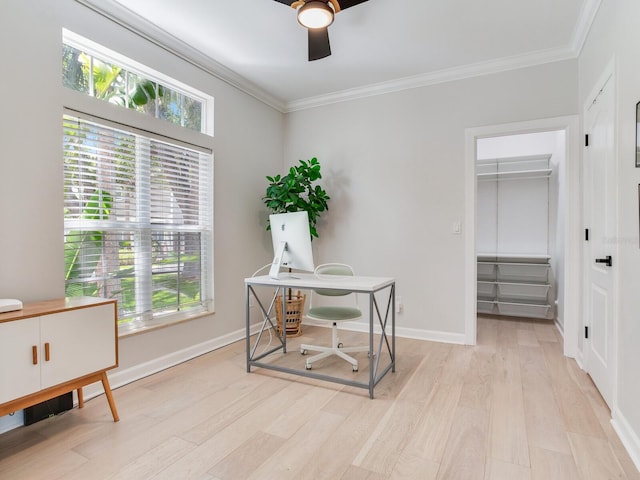 4702 W Heron Ln, Tampa, FL 33629 - photo 18