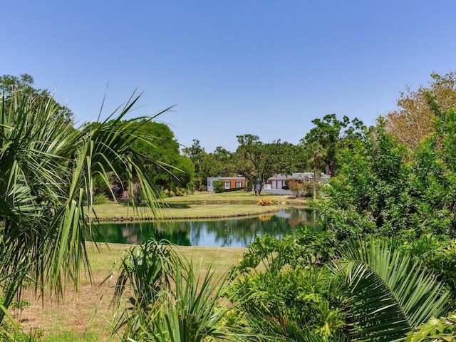 4702 W Heron Ln, Tampa, FL 33629 - photo 43