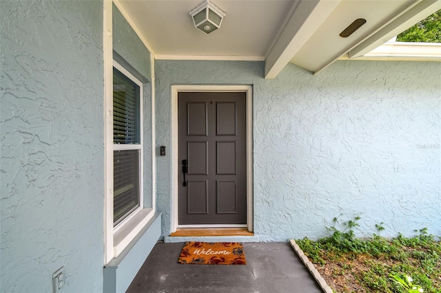 509 Stone Dr, Brandon, FL 33510 - entrance to property featuring stucco siding
