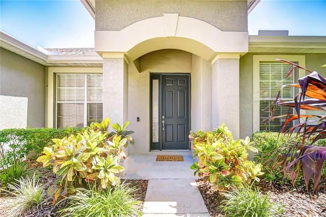 445 Arch Ridge Loop, Seffner, FL 33584 - doorway to property featuring stucco siding