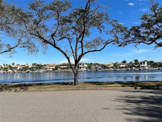 232 Channel Dr, Tampa, FL 33606 - photo 8