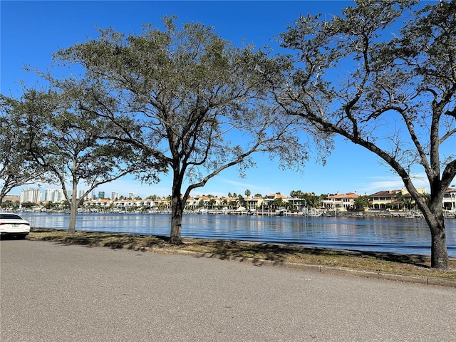 232 Channel Dr, Tampa, FL 33606 - photo 9