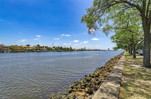 232 Channel Dr, Tampa, FL 33606 - photo 12