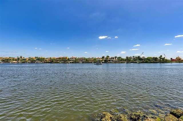 232 Channel Dr, Tampa, FL 33606 - photo 14