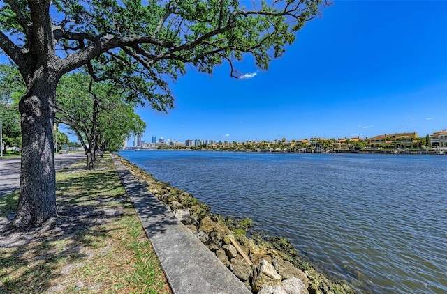 232 Channel Dr, Tampa, FL 33606 - photo 16