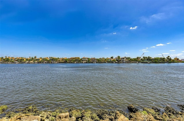 232 Channel Dr, Tampa, FL 33606 - photo 17