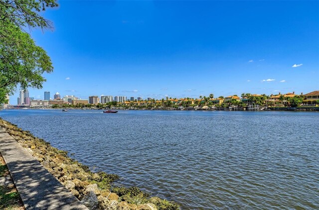 232 Channel Dr, Tampa, FL 33606 - photo 19