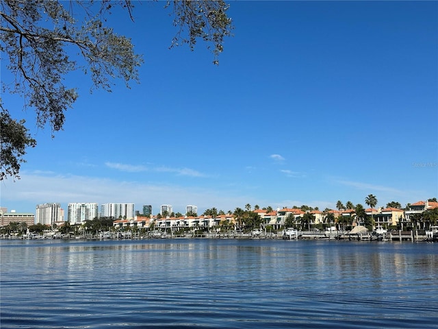 232 Channel Dr, Tampa, FL 33606 - photo 5