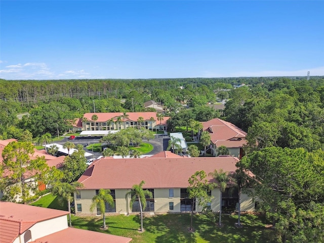 1801 E Lake Rd Unit 3A, Palm Harbor, FL 34685 - bird's eye view of a heavily wooded area