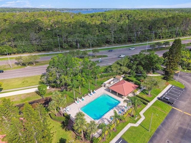 1801 E Lake Rd Unit 3A, Palm Harbor, FL 34685 - bird's eye view of a heavily wooded area and a pool area