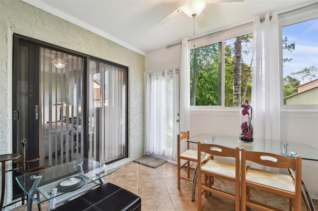 1801 E Lake Rd Unit 3A, Palm Harbor, FL 34685 - photo 25