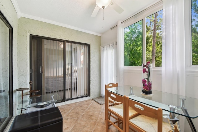 1801 E Lake Rd Unit 3A, Palm Harbor, FL 34685 - photo 26