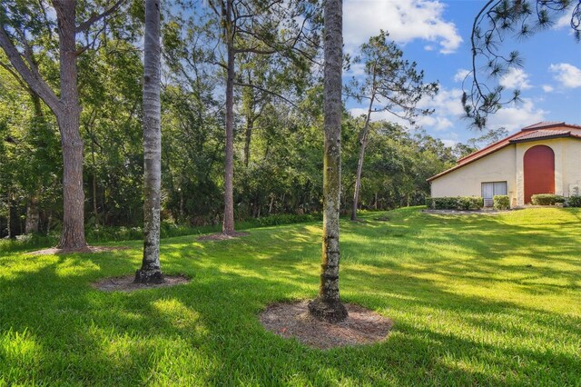 1801 E Lake Rd Unit 3A, Palm Harbor, FL 34685 - photo 34