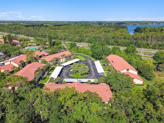 1801 E Lake Rd Unit 3A, Palm Harbor, FL 34685 - photo 53